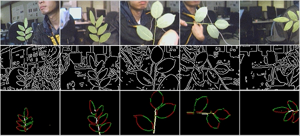 example images of branches and results or method