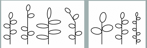 deformable objects vs. variable structure objects